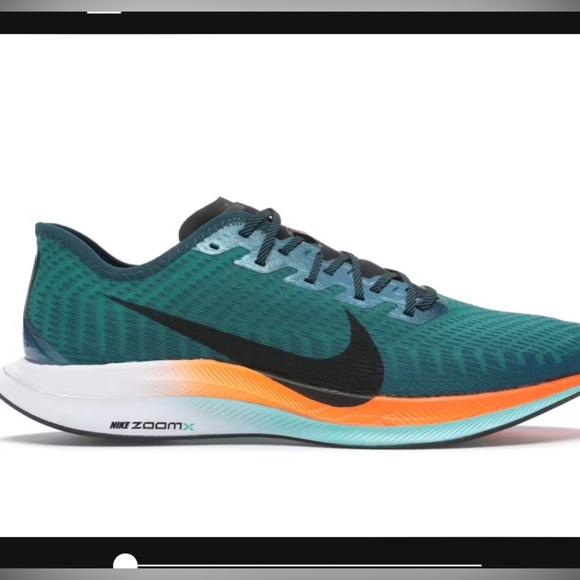 Nike Other - 🎈🎁Host Pick NWOT Mens Nike Zoom Pegasus Turbo 2 Sz 12.5 Neptune Green EIKDEN
